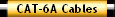 CAT-6A Cables