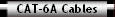CAT-6A Cables