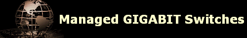 Managed GIGABIT Switches