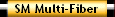 SM Multi-Fiber