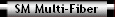 SM Multi-Fiber